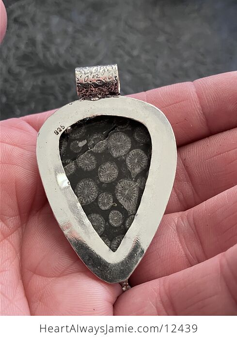 Agatized Coral Fossil Gemstone Stone Jewelry Crystal Pendant - #ovntx21tszQ-2