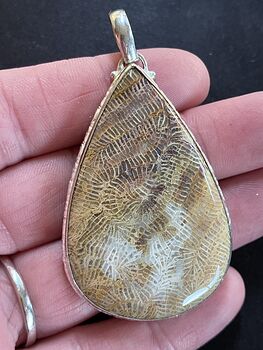 Agatized Fossil Coral Gemstone Stone Jewelry Crystal Pendant #VcwSvZQmLvE