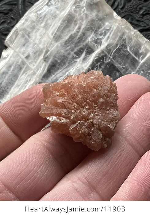Alien Quartz Pecos Diamond Quartz Crystal Fanned Specimen - #xE4EP0OB9tw-5