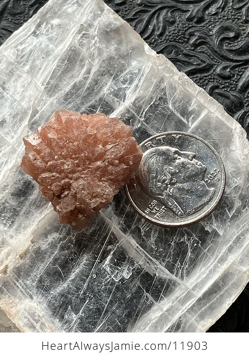Alien Quartz Pecos Diamond Quartz Crystal Fanned Specimen - #xE4EP0OB9tw-9