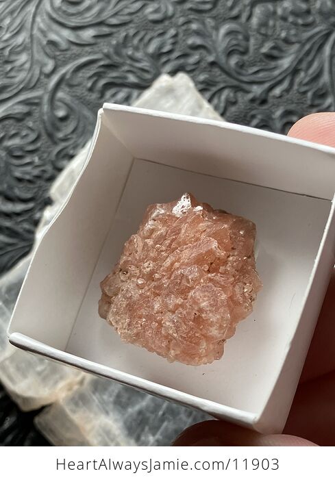 Alien Quartz Pecos Diamond Quartz Crystal Fanned Specimen - #xE4EP0OB9tw-1