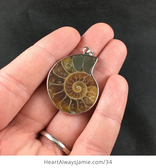 Ammonite Fossil Pendant Jewelry Necklace - #JChG7nPGHW4-1