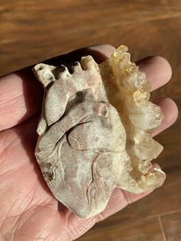Anatomical Human Heart Cardiology Hand Carved Crystal Stone Rock Figurine #6VF5AX2qn2Q