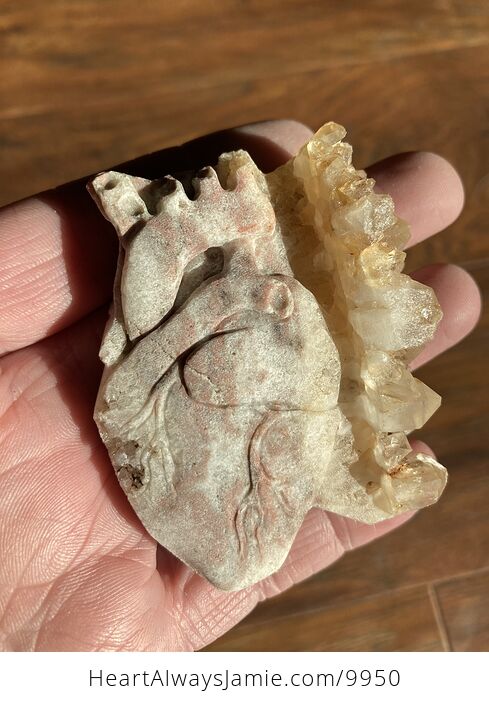Anatomical Human Heart Cardiology Hand Carved Crystal Stone Rock Figurine - #6VF5AX2qn2Q-1