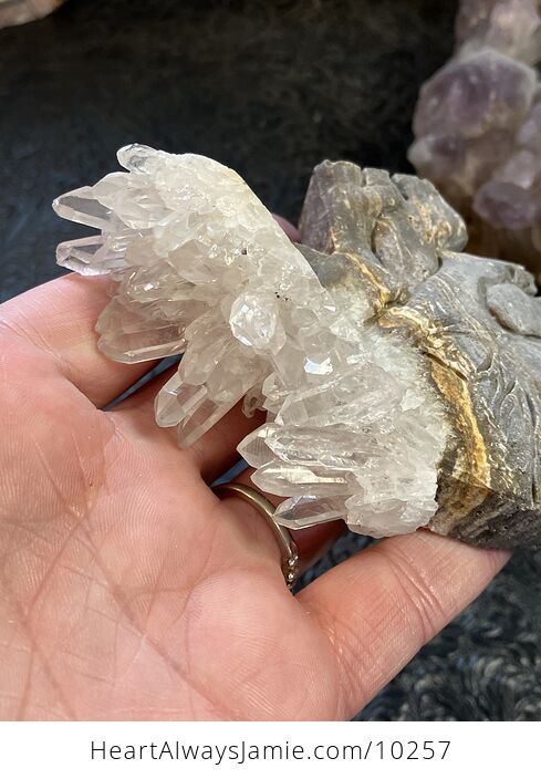 Anatomical Human Heart Cardiology Hand Carved Crystal Stone Rock Figurine - #ULGDNBvJmSg-2