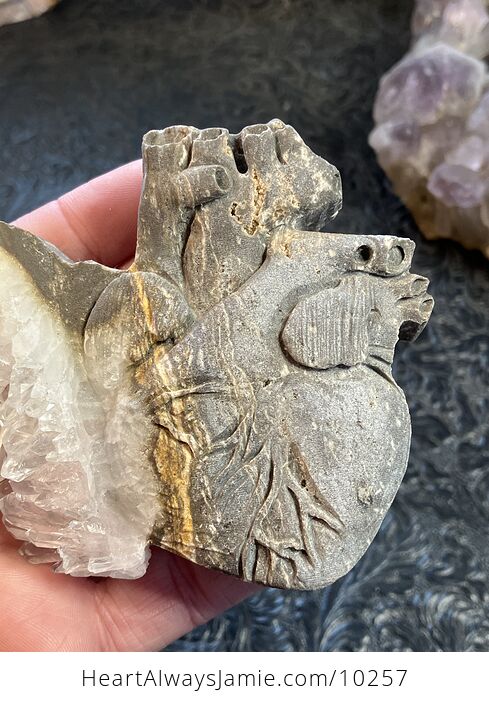 Anatomical Human Heart Cardiology Hand Carved Crystal Stone Rock Figurine - #ULGDNBvJmSg-3