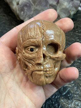Anatomical Human Skull and Muscle Face Crystal Carving #0X66MmjAT3s
