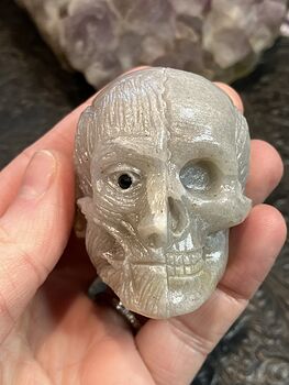 Anatomical Human Skull and Muscle Face Crystal Carving #6UE0inyt6Ik