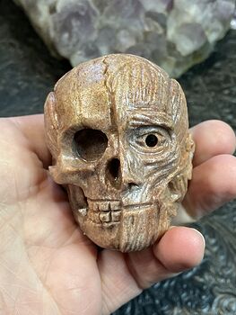 Anatomical Human Skull and Muscle Face Crystal Carving #DfiBYaXPWpE