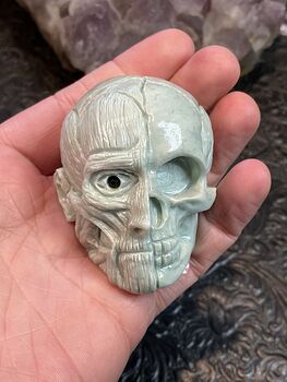 Anatomical Human Skull and Muscle Face Crystal Carving #axkie1VYayg