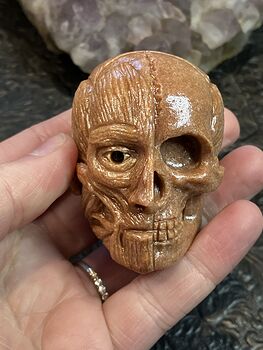 Anatomical Human Skull and Muscle Face Crystal Carving #daMMkLAFyYc
