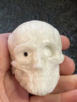 Anatomical Human Skull and Muscle Face Crystal Carving #hnLef8KjH1g
