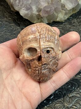 Anatomical Human Skull and Muscle Face Crystal Carving #qlsQfOkj7G0
