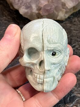 Anatomical Human Skull and Muscle Face Crystal Carving #r866LKnAiHA