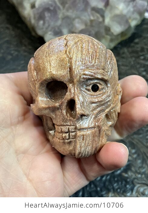 Anatomical Human Skull and Muscle Face Crystal Carving - #DfiBYaXPWpE-1