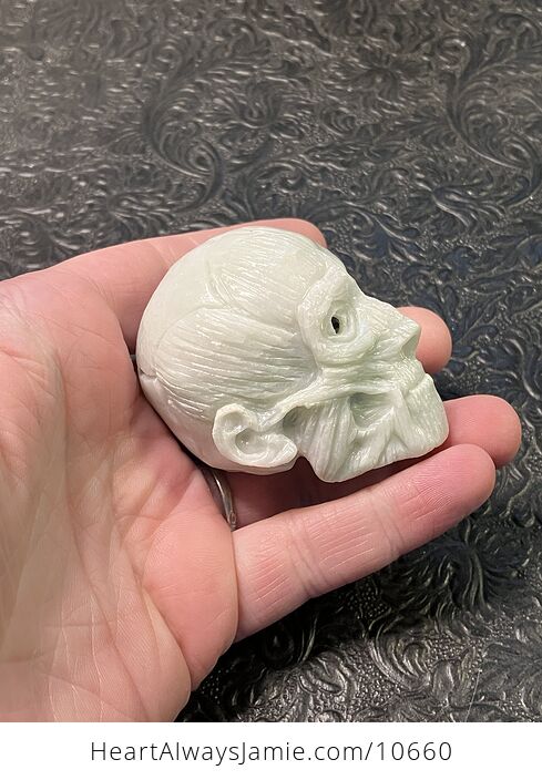 Anatomical Human Skull and Muscle Face Crystal Carving - #W5tGHbl3PTE-5