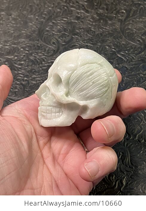 Anatomical Human Skull and Muscle Face Crystal Carving - #W5tGHbl3PTE-7