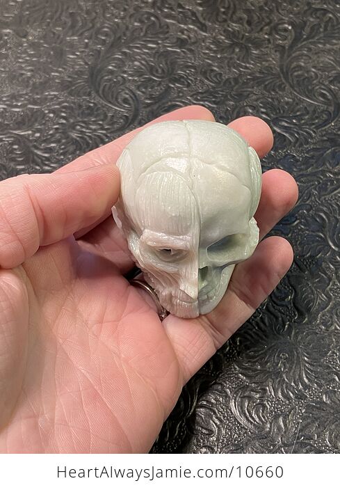 Anatomical Human Skull and Muscle Face Crystal Carving - #W5tGHbl3PTE-4