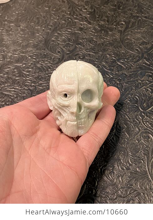 Anatomical Human Skull and Muscle Face Crystal Carving - #W5tGHbl3PTE-1