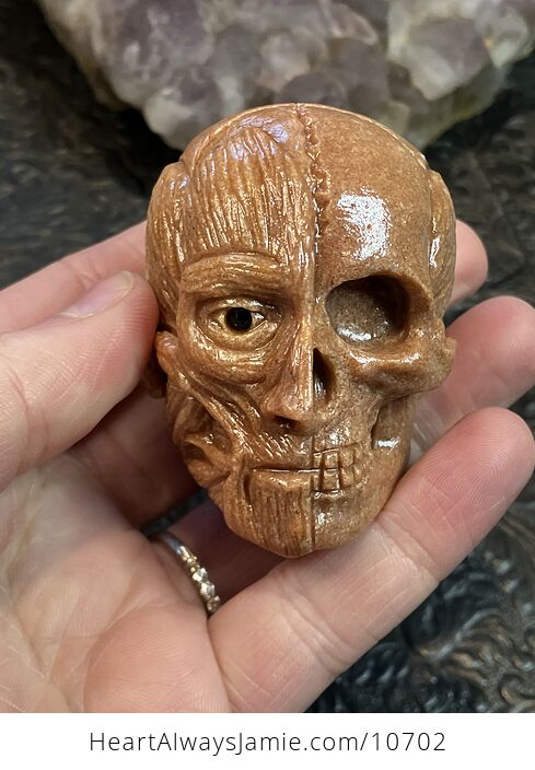 Anatomical Human Skull and Muscle Face Crystal Carving - #daMMkLAFyYc-1