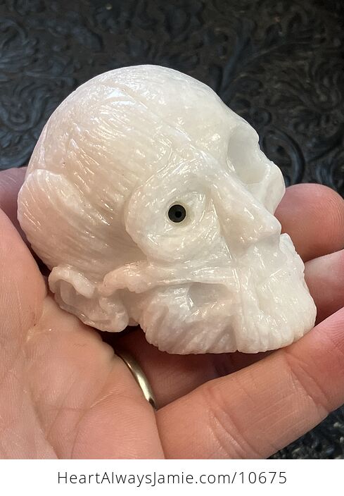 Anatomical Human Skull and Muscle Face Crystal Carving - #hnLef8KjH1g-6
