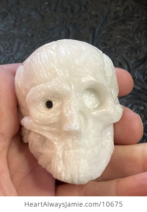 Anatomical Human Skull and Muscle Face Crystal Carving - #hnLef8KjH1g-1