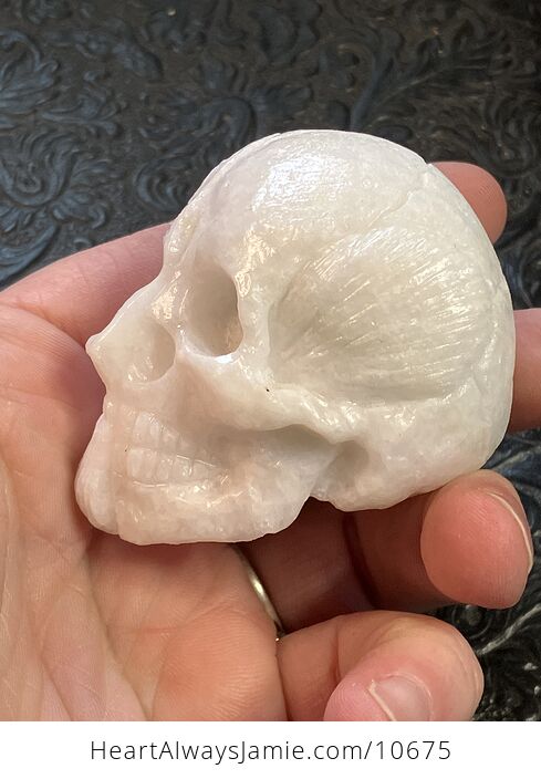 Anatomical Human Skull and Muscle Face Crystal Carving - #hnLef8KjH1g-3