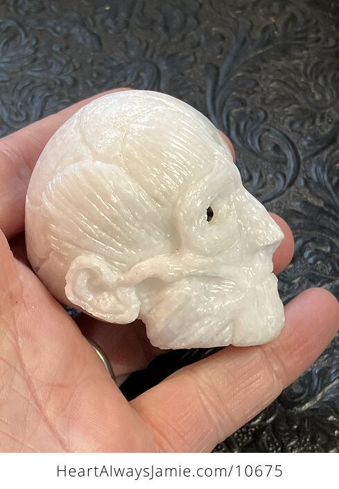Anatomical Human Skull and Muscle Face Crystal Carving - #hnLef8KjH1g-2