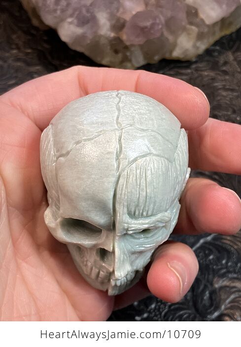 Anatomical Human Skull and Muscle Face Crystal Carving - #r866LKnAiHA-5
