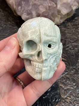 Anatomical Human Skull and Muscle Face Jade Crystal Carving #YDouusZuYTY