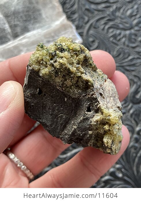 Arizona Olivine Crystals in Peridotite in Basalt Peridot Collector Specimen with a Wood Tag - #LqV6bJrcDd8-3