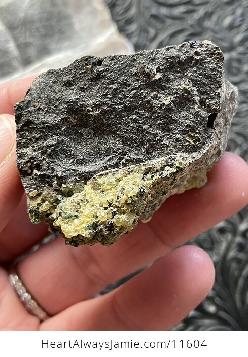 Arizona Olivine Crystals in Peridotite in Basalt Peridot Collector Specimen with a Wood Tag - #LqV6bJrcDd8-6