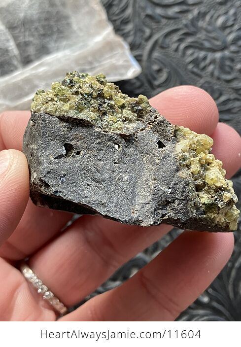Arizona Olivine Crystals in Peridotite in Basalt Peridot Collector Specimen with a Wood Tag - #LqV6bJrcDd8-4