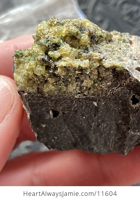 Arizona Olivine Crystals in Peridotite in Basalt Peridot Collector Specimen with a Wood Tag - #LqV6bJrcDd8-7