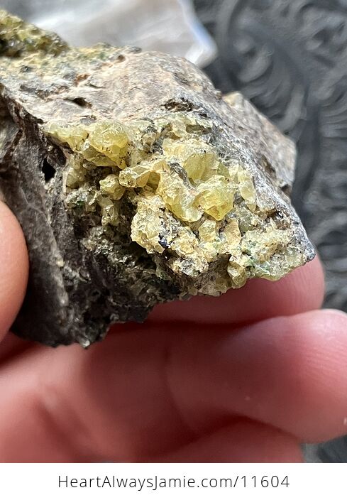 Arizona Olivine Crystals in Peridotite in Basalt Peridot Collector Specimen with a Wood Tag - #LqV6bJrcDd8-8