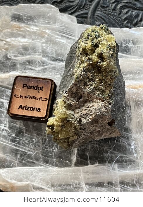 Arizona Olivine Crystals in Peridotite in Basalt Peridot Collector Specimen with a Wood Tag - #LqV6bJrcDd8-1