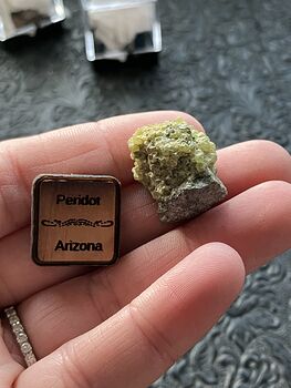 Arizona Olivine Crystals in Peridotite in Basalt Peridot Small Crystal Collector Specimen with a Wood Tag #ChZ9bjVAYxc