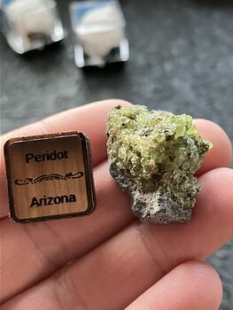 Arizona Olivine Crystals in Peridotite in Basalt Peridot Small Crystal Collector Specimen with a Wood Tag #rZP7F6qdAOY