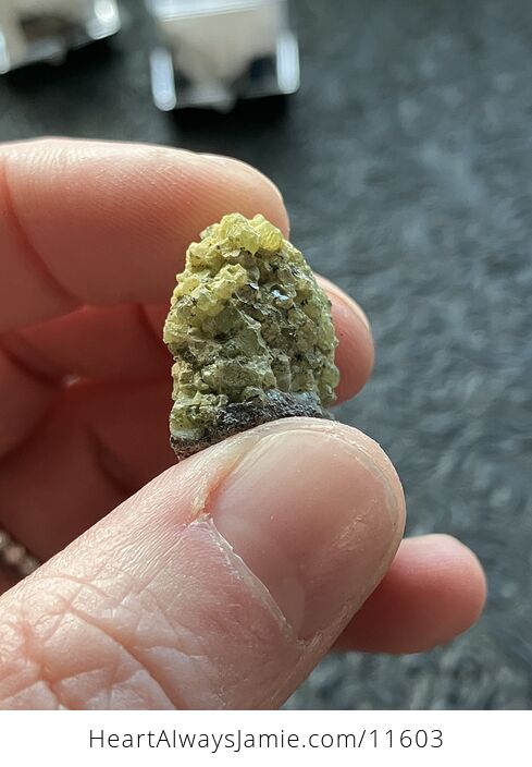 Arizona Olivine Crystals in Peridotite in Basalt Peridot Small Crystal Collector Specimen with a Wood Tag - #ChZ9bjVAYxc-5