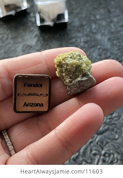 Arizona Olivine Crystals in Peridotite in Basalt Peridot Small Crystal Collector Specimen with a Wood Tag - #ChZ9bjVAYxc-1