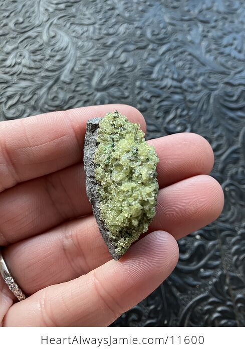 Arizona Olivine Crystals in Peridotite in Basalt Peridot Small Crystal Collector Specimen with a Wood Tag - #USEIGzellp0-4