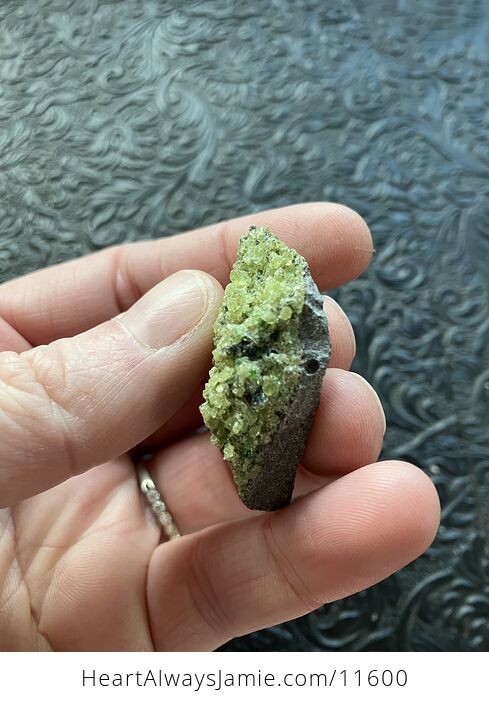 Arizona Olivine Crystals in Peridotite in Basalt Peridot Small Crystal Collector Specimen with a Wood Tag - #USEIGzellp0-5