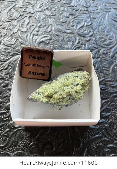 Arizona Olivine Crystals in Peridotite in Basalt Peridot Small Crystal Collector Specimen with a Wood Tag - #USEIGzellp0-1