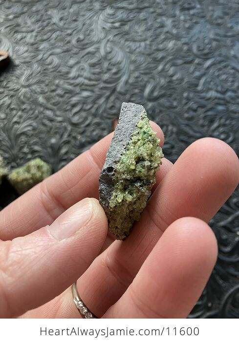 Arizona Olivine Crystals in Peridotite in Basalt Peridot Small Crystal Collector Specimen with a Wood Tag - #USEIGzellp0-6