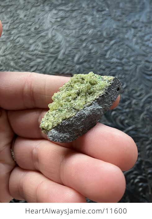 Arizona Olivine Crystals in Peridotite in Basalt Peridot Small Crystal Collector Specimen with a Wood Tag - #USEIGzellp0-7