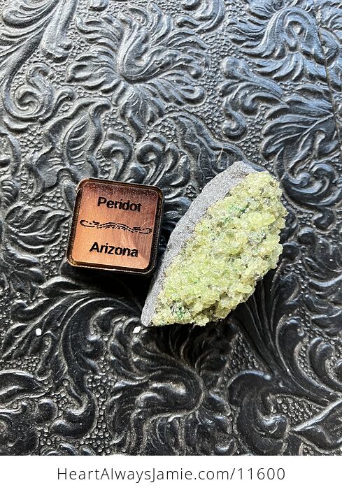 Arizona Olivine Crystals in Peridotite in Basalt Peridot Small Crystal Collector Specimen with a Wood Tag - #USEIGzellp0-2