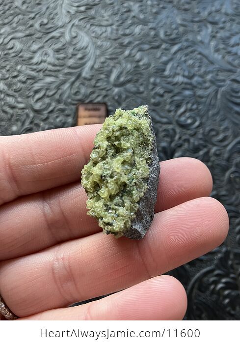 Arizona Olivine Crystals in Peridotite in Basalt Peridot Small Crystal Collector Specimen with a Wood Tag - #USEIGzellp0-8