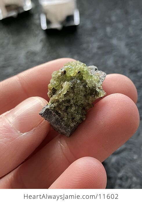 Arizona Olivine Crystals in Peridotite in Basalt Peridot Small Crystal Collector Specimen with a Wood Tag - #rZP7F6qdAOY-3