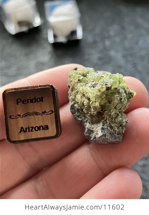 Arizona Olivine Crystals in Peridotite in Basalt Peridot Small Crystal Collector Specimen with a Wood Tag - #rZP7F6qdAOY-1