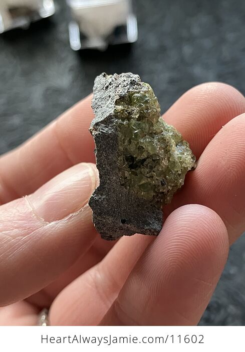 Arizona Olivine Crystals in Peridotite in Basalt Peridot Small Crystal Collector Specimen with a Wood Tag - #rZP7F6qdAOY-6